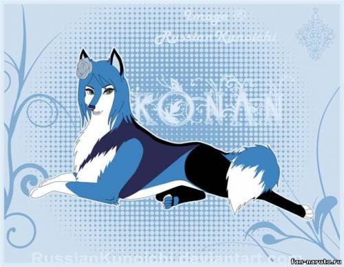 konan as wolf